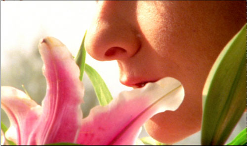 Chaque jour est une vie