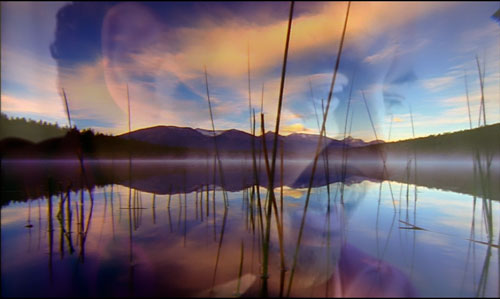 Chaque jour est une vie