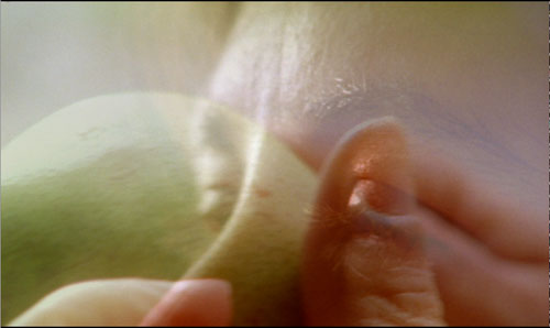 Chaque jour est une vie