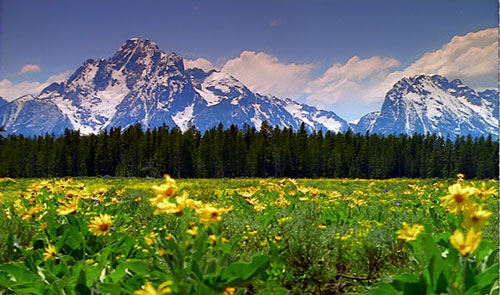 Chaque jour est une vie