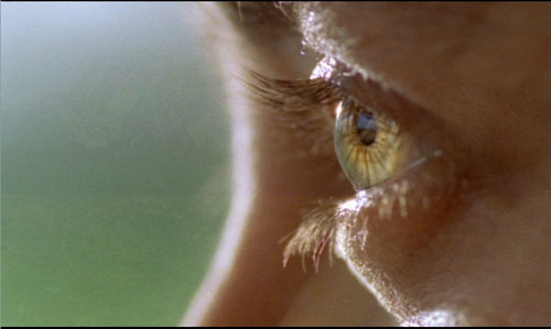 Chaque jour est une vie