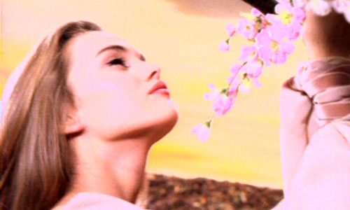 Dis Lui Toi Que Je t'aime