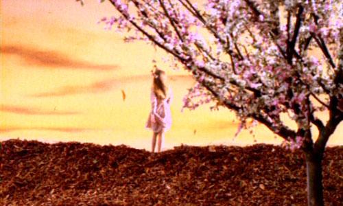 Dis Lui Toi Que Je t'aime