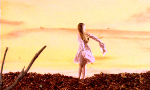 Dis Lui Toi Que Je t'aime