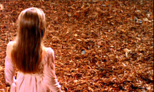 Dis Lui Toi Que Je t'aime